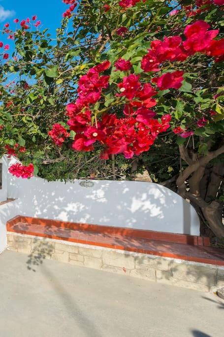 Greek Style Ground Floor Apartment & Pool Ialysos  Exteriér fotografie