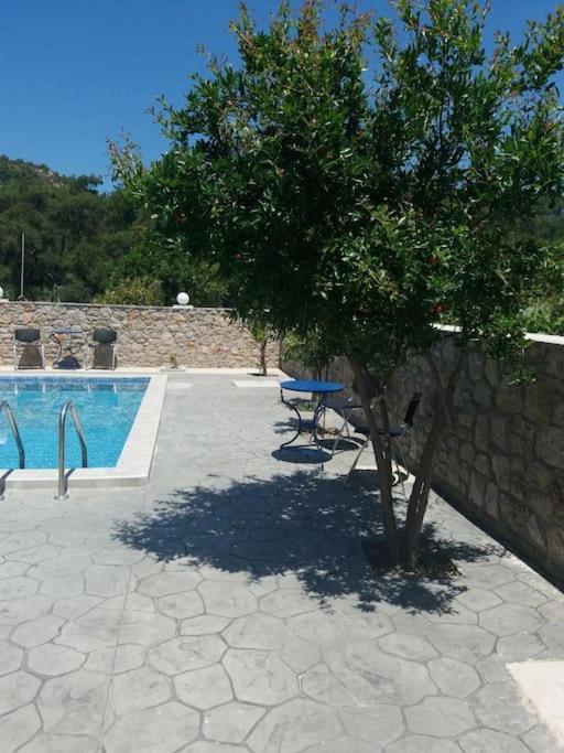 Greek Style Ground Floor Apartment & Pool Ialysos  Exteriér fotografie